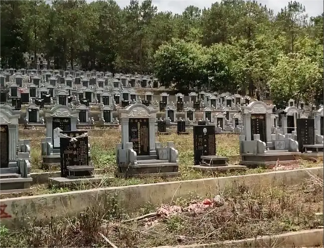 ɥڼʲôɥʲôҪעأ